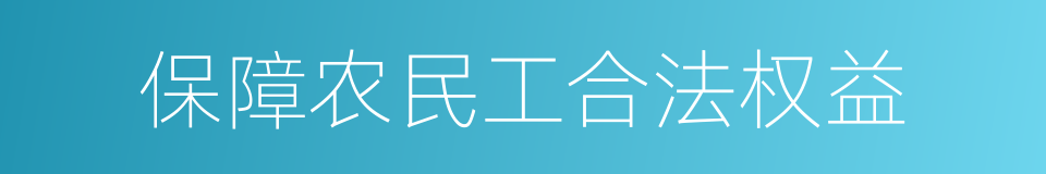 保障农民工合法权益的同义词