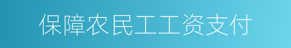 保障农民工工资支付的同义词