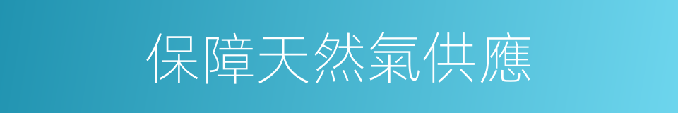 保障天然氣供應的同義詞