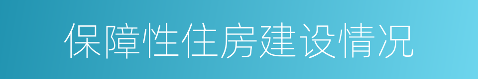 保障性住房建设情况的同义词