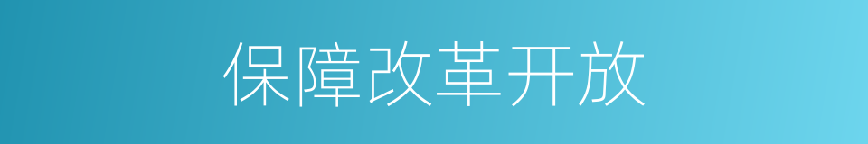 保障改革开放的同义词