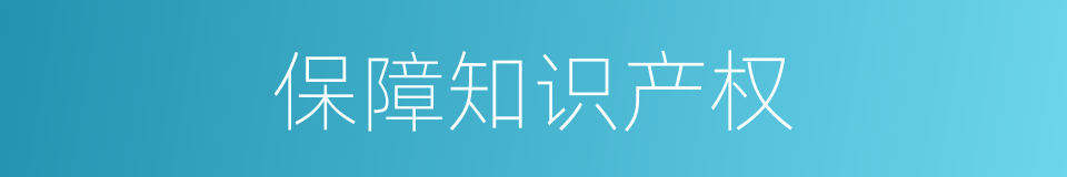 保障知识产权的同义词