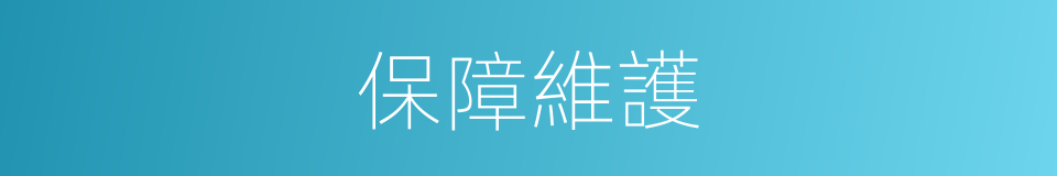保障維護的同義詞