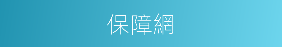 保障網的同義詞
