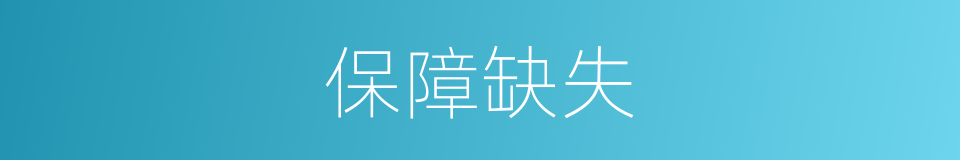 保障缺失的意思