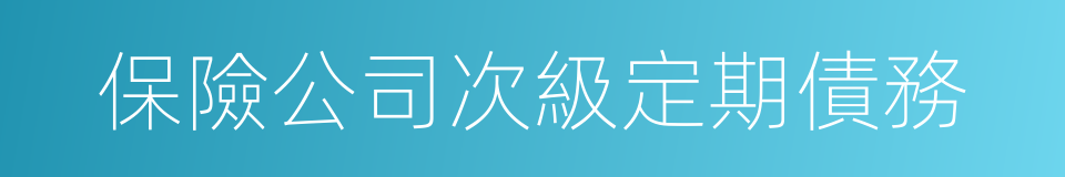 保險公司次級定期債務的同義詞