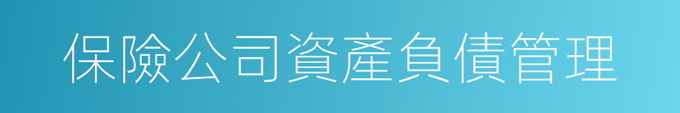 保險公司資產負債管理的同義詞