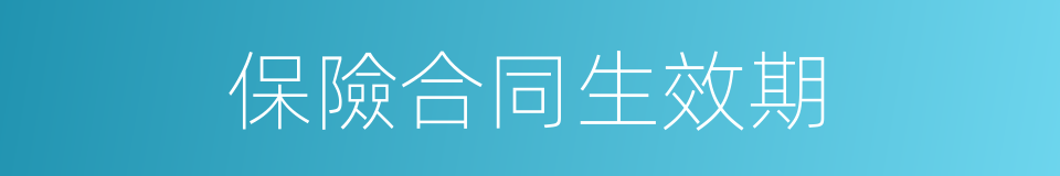保險合同生效期的同義詞