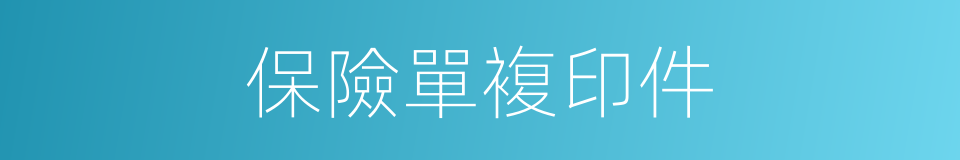 保險單複印件的同義詞