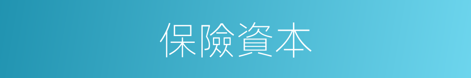 保險資本的同義詞