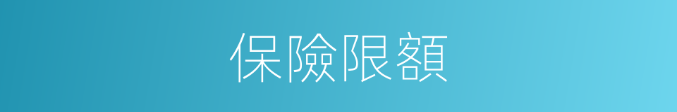 保險限額的同義詞