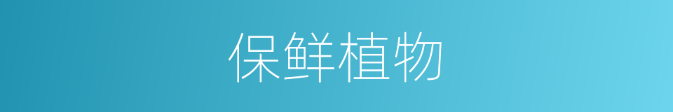 保鲜植物的同义词