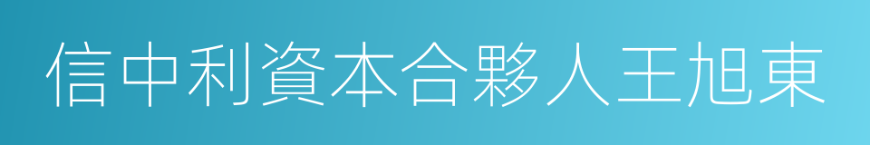 信中利資本合夥人王旭東的同義詞