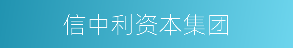 信中利资本集团的同义词