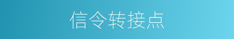 信令转接点的同义词