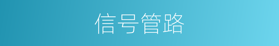 信号管路的同义词