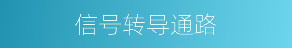 信号转导通路的同义词