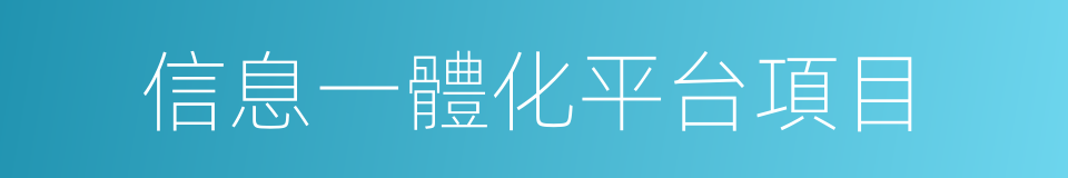 信息一體化平台項目的同義詞