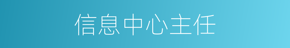 信息中心主任的同义词
