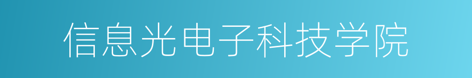 信息光电子科技学院的同义词