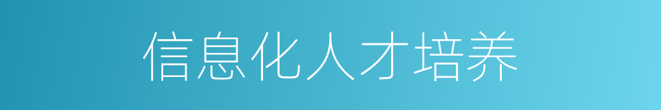 信息化人才培养的同义词