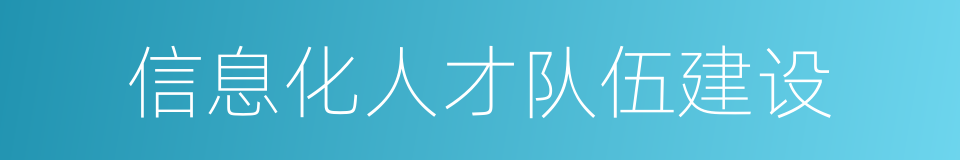 信息化人才队伍建设的同义词