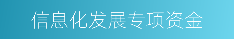 信息化发展专项资金的同义词