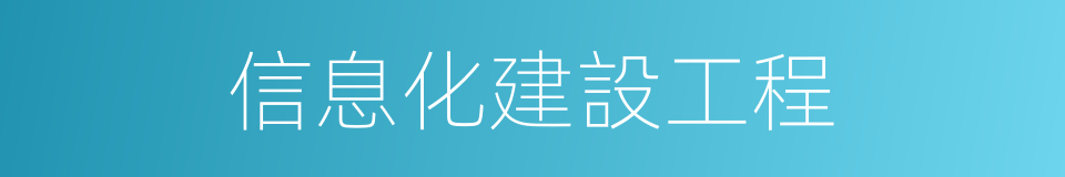 信息化建設工程的同義詞