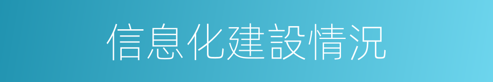 信息化建設情況的同義詞