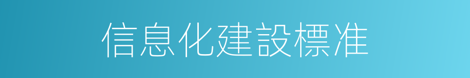 信息化建設標准的同義詞
