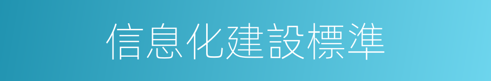 信息化建設標準的同義詞