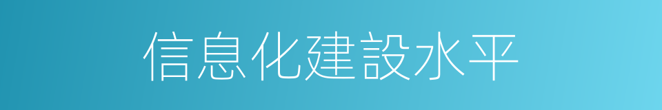 信息化建設水平的同義詞