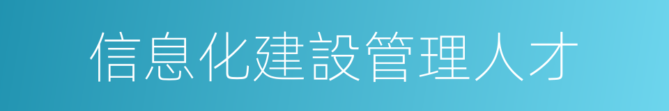 信息化建設管理人才的同義詞