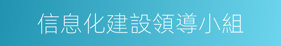 信息化建設領導小組的同義詞