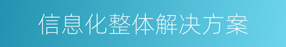 信息化整体解决方案的同义词