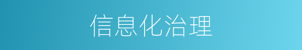 信息化治理的同义词