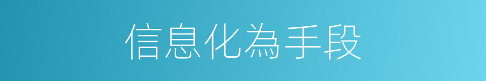信息化為手段的同義詞