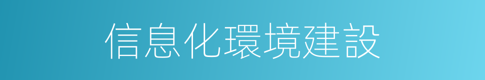 信息化環境建設的同義詞