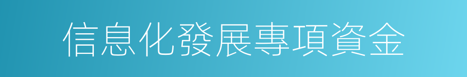 信息化發展專項資金的同義詞