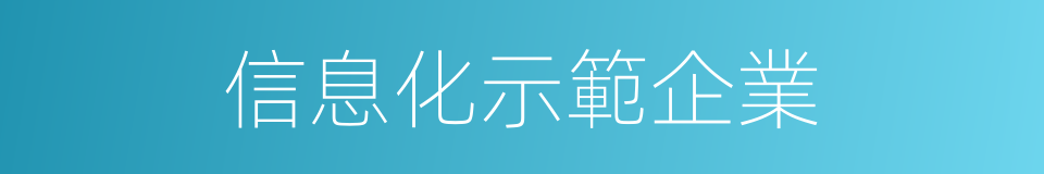 信息化示範企業的同義詞