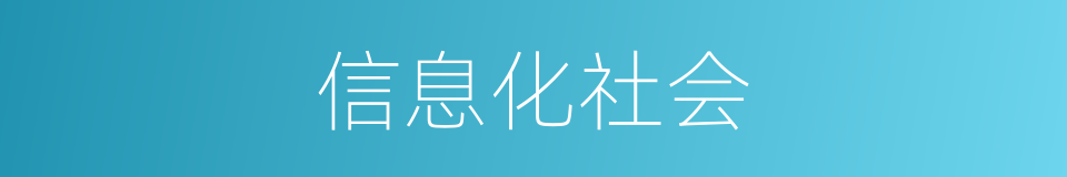 信息化社会的同义词