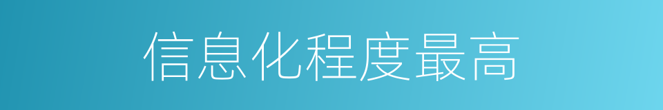 信息化程度最高的同义词