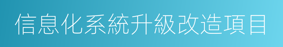 信息化系統升級改造項目的同義詞