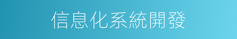 信息化系統開發的同義詞