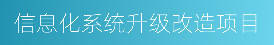 信息化系统升级改造项目的同义词