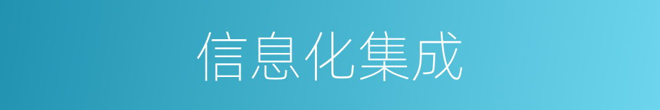 信息化集成的同义词