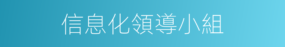 信息化領導小組的同義詞