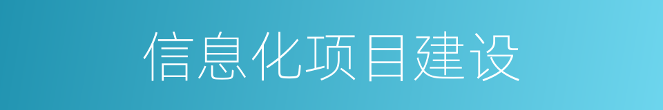 信息化项目建设的同义词