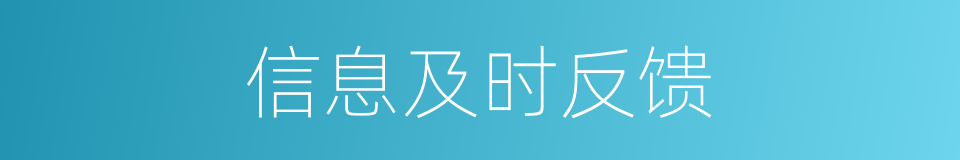 信息及时反馈的同义词