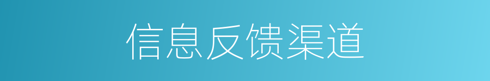 信息反馈渠道的同义词